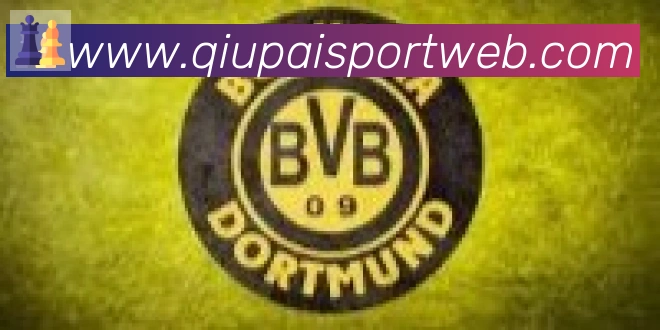 球派体育合作伙伴