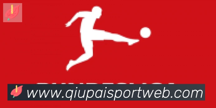 球派体育合作伙伴